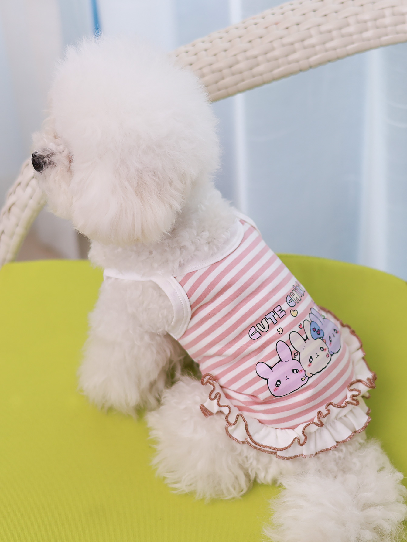 개 조끼, 여름 통기성 얇은 소재 애완 동물 의류, 여 - Summer Clothing Material 리뷰 및 가격